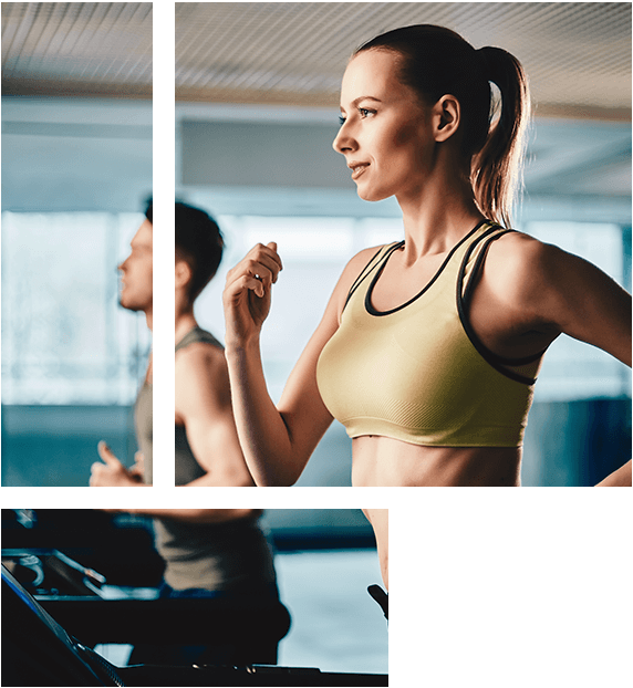 Fitness and Gym